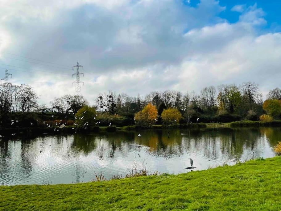 Masion Belle Vue Lägenhet Sarcelles Exteriör bild